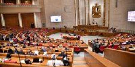 عبد الباسط الشرقاوي: تحرير سيناء ملحمة وطنية خالدة تجسد إرادة المصريين وصمودهم