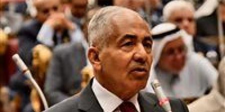 وكيل الشيوخ: الأولمبياد هدفنا.. ومراكز الشباب تصنع أبطال مصر في كل المحافظات