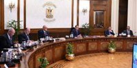 رئيس الوزراء يتابع الخطط التنفيذية لتنمية سيناء