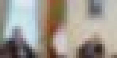 الوزير الأول يستقبل وزير الشؤون الخارجية للبوسنة والهرسك