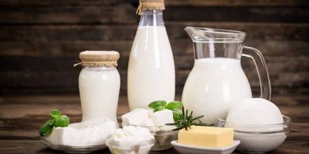 أسعار الألبان ومشتقاتها بمحافظة الغربية اليوم الثلاثاء 28 أبريل 2026