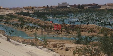 مياه الصرف تصل للزراعات بمدينة مرسى مطروح.. بث مباشر