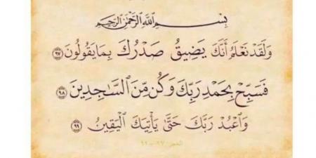 "حسبي الله ونعم الوكيل".. أول رد من حسام السيلاوي على قرار توقيفه وابن عمه يكشف المستور
