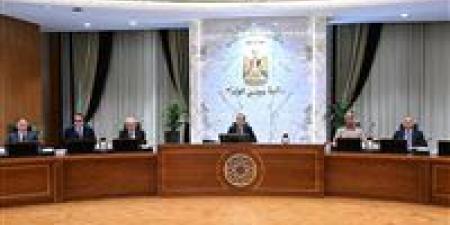 عاجل.. الوزراء يُوافق على استمرار تطبيق نظام العمل عن بعد يوم الأحد خلال مايو