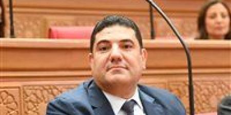 أحمد عبد المجيد: لقاء الرئيس السيسي برئيس جامعة هيروشيما خطوة استراتيجية لترسيخ تعليم عصري قائم على التكنولوجيا والابتكار