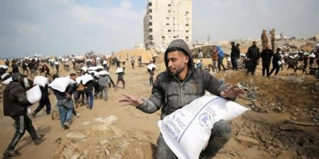 مصر تكثف جهودها الإنسانية لدعم أهالي غزة.. آخر تطورات المشهد داخل القطاع