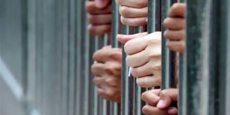 ضبط تشكيل عصابي بحوزته مخدرات بـ 116 مليون جنيه قبل ترويجها