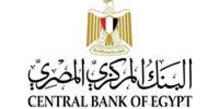 قفزة تاريخية في تحويلات المصريين بالخارج.. 29.4 مليار دولار تدعم الاقتصاد خلال 8 أشهر