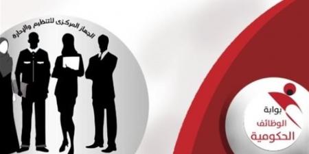 شروط التقديم في بوابة الوظائف الحكومية 2026.. المستبعدون والمستحقون