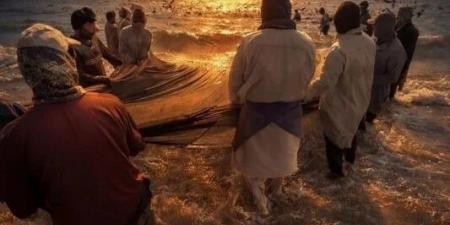 شركة تسحب صورة فائزة فى مسابقة تصوير بعد جدل حول توليدها بالذكاء الاصطناعى