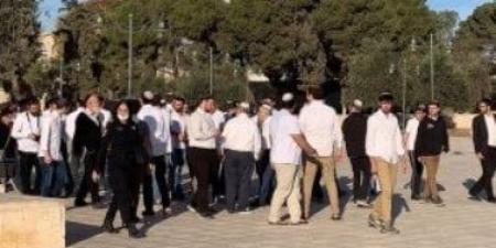 مستوطنون إسرائيليون يحاولون اقتحام المسجد الأقصى