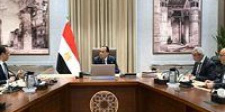 رئيس الوزراء يتابع الموقف التنفيذي للمبادرة الرئاسية "الرواد الرقميون"