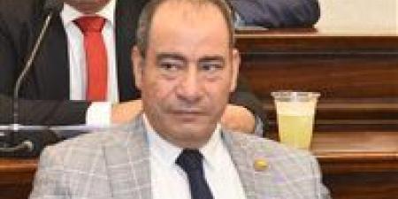 مجاهد نصار: لقاء السيسي رئيس بنك التنمية الأفريقي يعزز الشراكة الاقتصادية ويدعم رؤية مصر 2030 والتكامل القاري