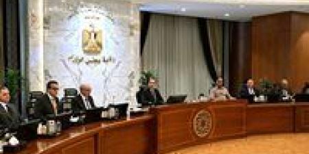 رئيس الوزراء: تقلبات أسعار البترول يومية والحكومة تعمل على تأمين احتياجاتها لضمان تنفيذ خطة 2026–2027