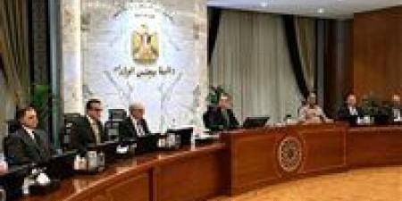 قرارات مجلس الوزراء اليوم الأربعاء