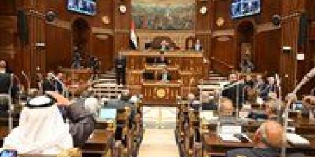 مجلس الشيوخ يناقش تأمين الثانوية العامة وتطوير مطار سفنكس ومصر للطيران الاثنين