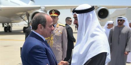 خبير: القاهرة تسعى لإعادة التوازن للمشهد الإقليمي وتنسيق المواقف مع الشركاء العرب والدوليين