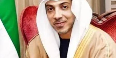 الإمارات تؤسس لجنة وطنية لتوثيق العدوان والجرائم الدولية