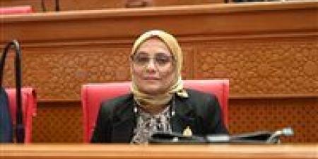 نجلاء العسيلي: القاهرة وباريس تقودان تحالفًا استراتيجيًا لحماية أمن المتوسط