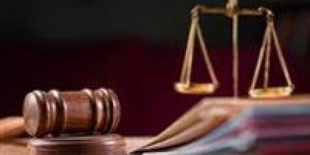 جنايات مستأنف المنصورة تنظر استئناف شقيقين على حكم إعدامهما في قضية قتل شاب بمحلة دمنة