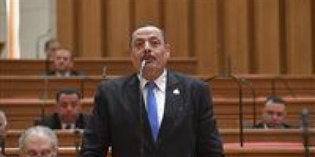 النائب أشرف أمين يطالب بتسهيل الخدمات الحكومية الإلكترونية لكبار السن ومرضى التأمين الصحي
