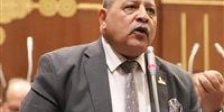 النائب أحمد شعبان: الرئيس السيسي أعاد مجلس الشيوخ للحياة السياسية ويجب احترام اختصاصاته