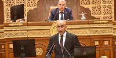 بالتعاون مع جامعة هروشيما.. وزير التعليم أمام مجلس الشيوخ: تدريب 5000 معلم سنوياً لمدة عام كامل للحصول على دبلومة مهنية تعادل المؤهل الياباني