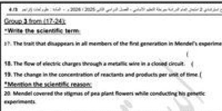 «تعليم القاهرة» تطرح نموذجًا استرشاديًا جديدًا في مادة Science لطلاب الشهادة الإعدادية
