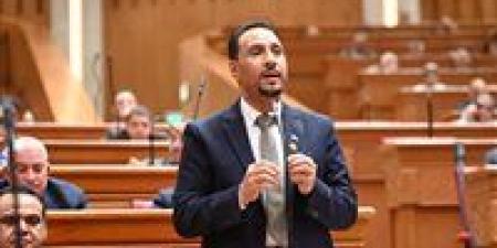 جرجس لاوندي: كلمة السيسي في نيروبي أكدت أن أفريقيا تمتلك حقها الكامل في التنمية وصنع القرار