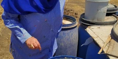 ضبط 10 أطنان مخللات داخل مصنع غير مرخص في الغربية