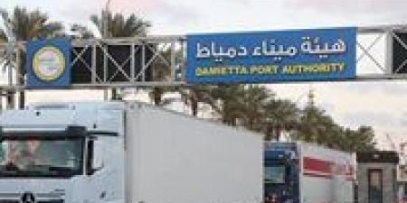 نشاط ملحوظ في حركة الترانزيت عبر خط «الرورو» بميناء دمياط يعزز تدفق البضائع إلى أسواق الخليج