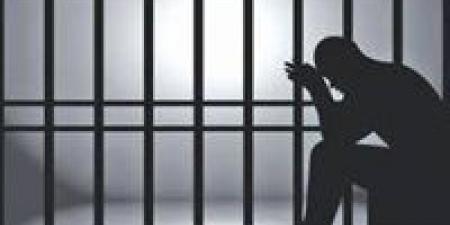 استعراض الموت.. طالبان على دراجة نارية يشعلان شوارع الإسكندرية
