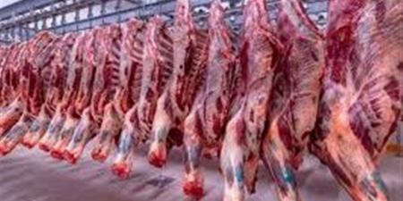 أسعار اللحوم والأضاحي والخراف اليوم السبت 16-5-2026