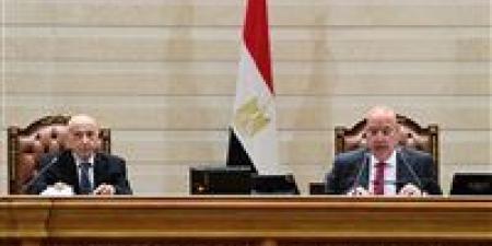 بحضور عقيلة صالح.. انطلاق الجلسة العامة لمجلس النواب لبحث عزيز العلاقات المصرية الليبية..ومناقشة مد الدورة النقابية وتنظيم منشآت الأمن والأمان البيولوجي