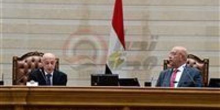 المستشار هشام بدوي: مصر تدعم ليبيا وترحب بترشح عقيلة صالح لرئاسة البرلمان الإفريقي الآسيوي