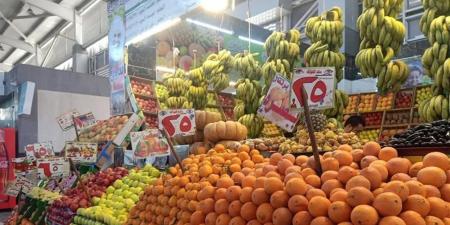 أسعار الفاكهة بمحافظة البحر الأحمر اليوم الإثنين 18 مايو 2026