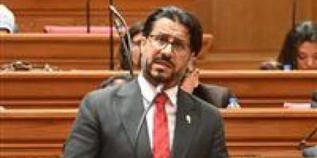 خاص لـ تحيا مصر| النائب أحمد البرلسي يجمع توقيعات لتشكيل لجنة تقصي حقائق بشأن أزمة المعاشات