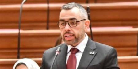 محمد فؤاد: صرف المعاشات حقوق وليست هبات.. وما حدث مازال قيد الفحص
