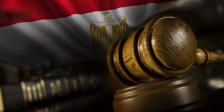 ماذا أقر القانون المصري حول انتحال صفة موظف حكومي؟