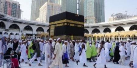 2392 داعية ومترجمًا خلال موسم الحج