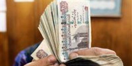 أعلى شهادات في البنوك بعد قرار البنك المركزي الجديد