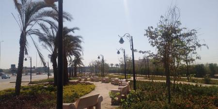 رئيس جهاز حدائق أكتوبر يتابع أعمال التجميل والزراعة استعدادًا لاستقبال عيد الأضحى