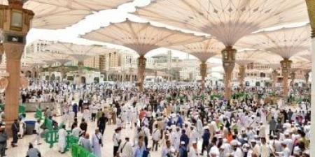 الهلال الأحمر السعودى: أكثر من 7700 مسعف و500 نقطة إسعافية لخدمة الحجاج