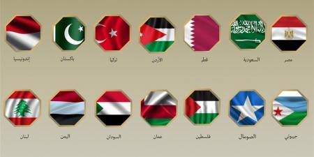 مصر و13 دولة تدين افتتاح ما يسمى «إقليم أرض الصومال» سفارة مزعومة له بالقدس المحتلة
