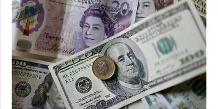 سعر الدولار اليوم الإثنين 25 مايو 2026 في البنوك الحكومية والخاصة