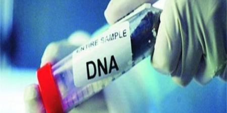 البصمة الوراثية.. مشروع قانون الأسرة يمنح الـDNA دورًا حاسمًا