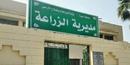 "زراعة الجيزة": تعامل فوري مع أي حالات تعدٍ على الأراضي الزراعية