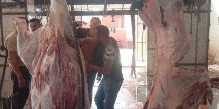 "بيطري الإسكندرية": ذبح 1350 أضحية مجانًا بمجازر المحافظة خلال أيام عيد الأضحى