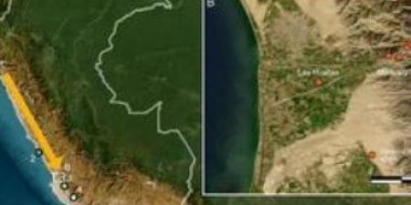 الحمض النووى يكشف تاريخ هجرة الشعوب الإسكندنافية إلى بريطانيا