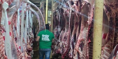 توزيع لحوم 166 أضحية على أكثر من 31 ألف أسرة بالبحيرة خلال أيام العيد